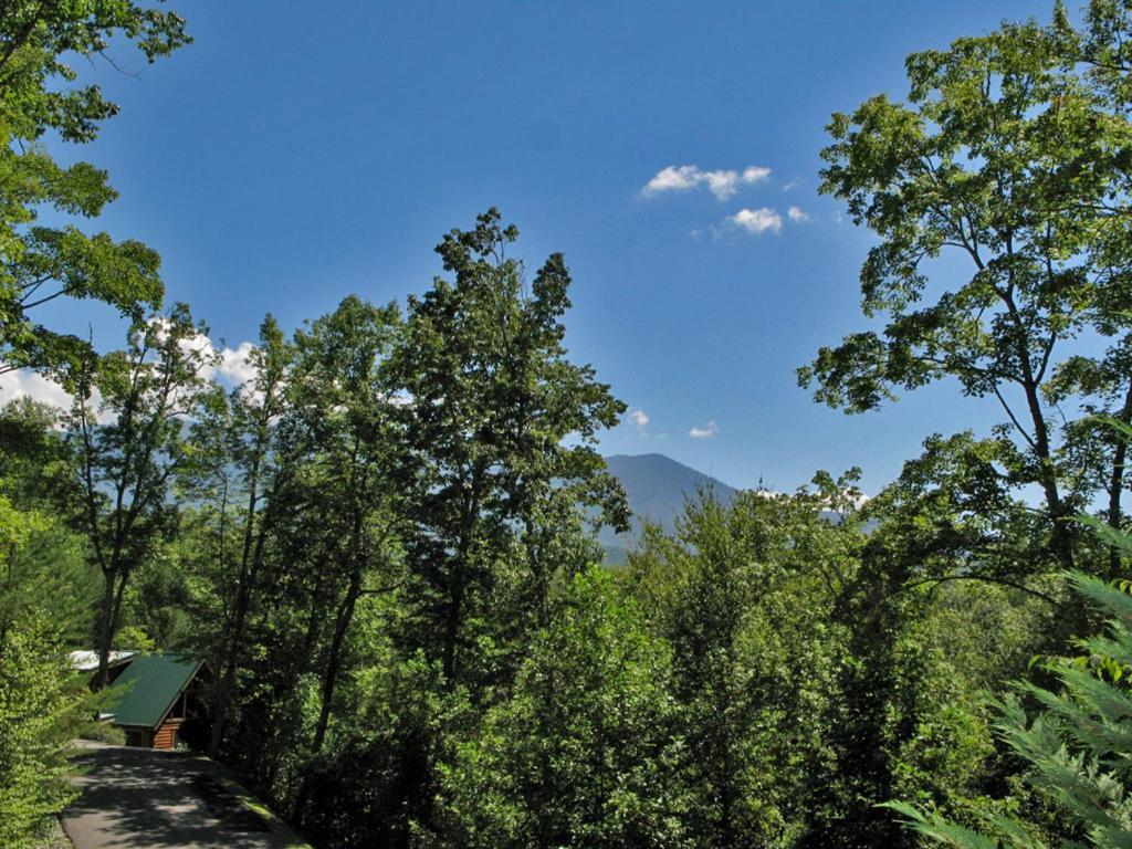 Bear'S Corner, 3 Bedrooms, Wifi, Pool Table, Hot Tub, Wifi, Sleeps 10 Гатлінбург Екстер'єр фото